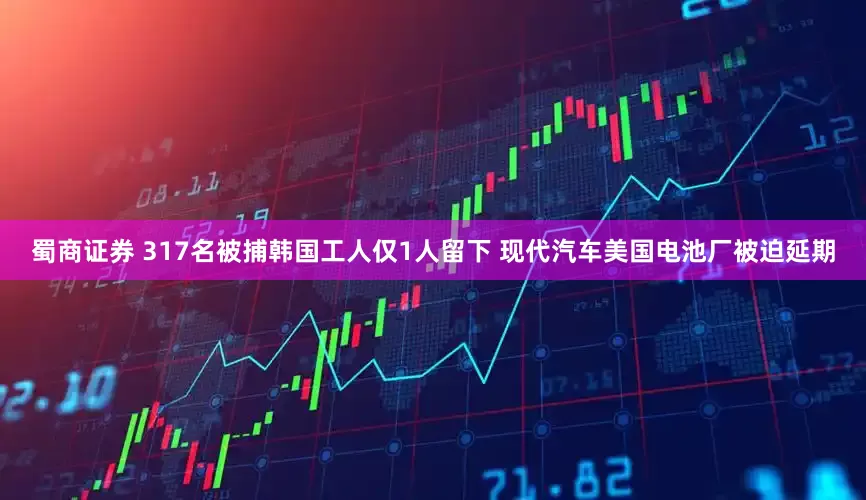 蜀商证券 317名被捕韩国工人仅1人留下 现代汽车美国电池厂被迫延期